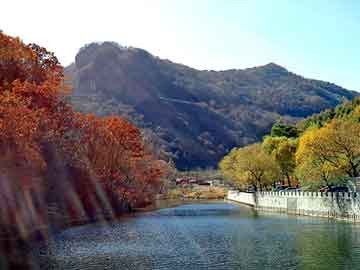 管家婆黑白马报图库，外贸香水